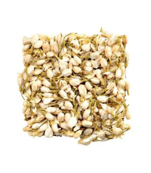 Premium Fujian Jasmine